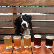 Lakeside Social with Furry Funding