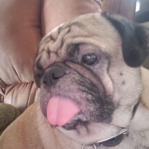 Mugsy