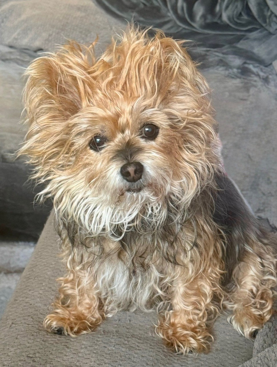 Bailey
